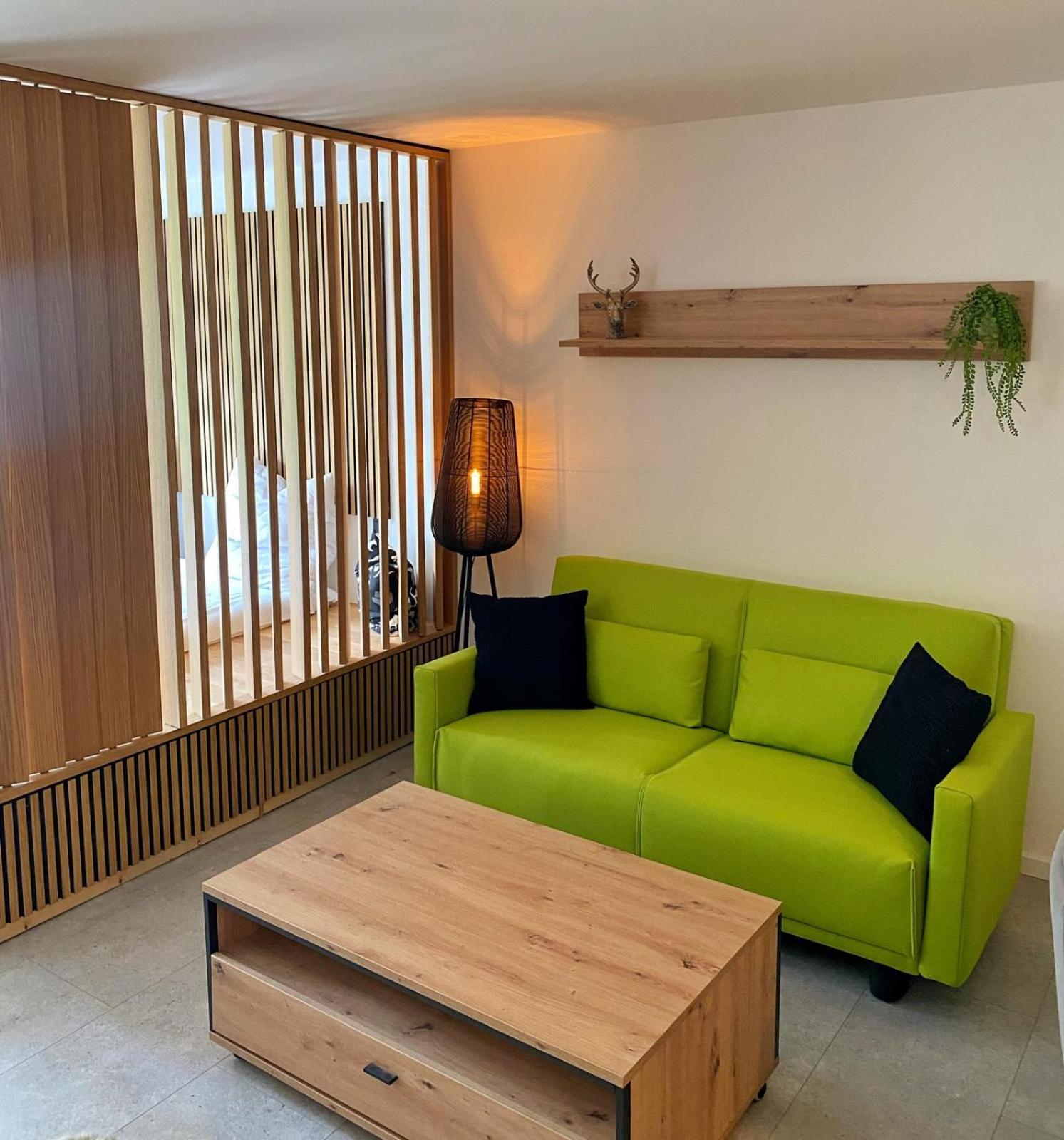 Typ K Appartement Willingen  Buitenkant foto